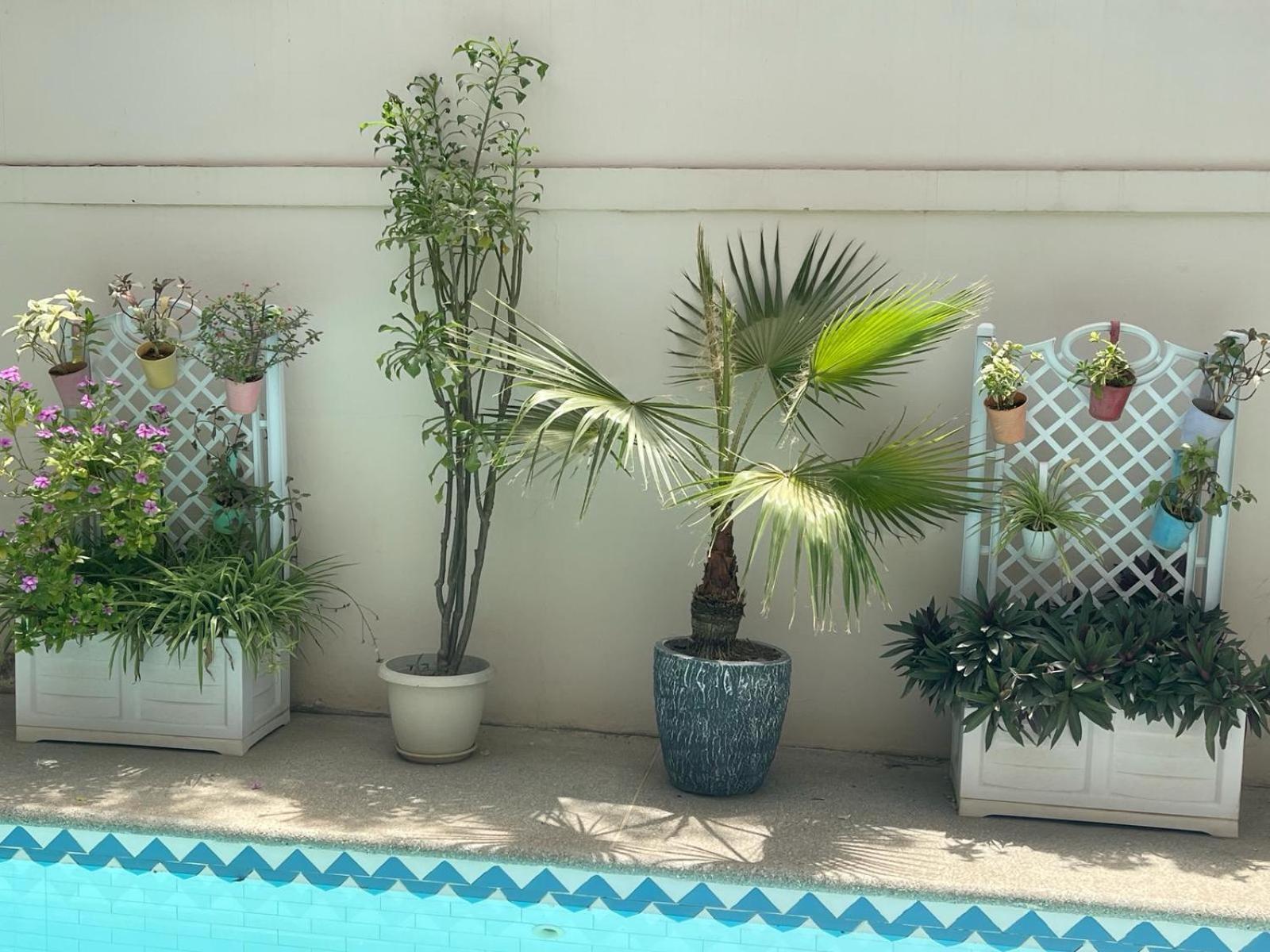 Villa Ngore Saly エクステリア 写真